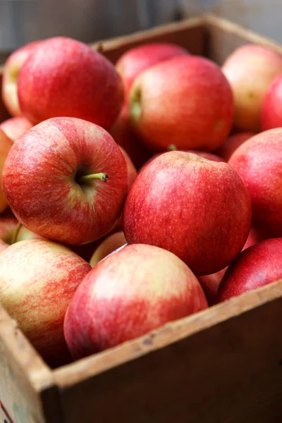 Gros Plan Plusieurs Pommes Rouges Qualité Inférieure Sur Étagère Présentoir — Photo