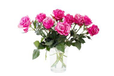 Beyaz bir duvardaki teneke kovada kırmızı güller, ahşap bir bankın enkaz yüzeyinde. Boşluğu kopyala