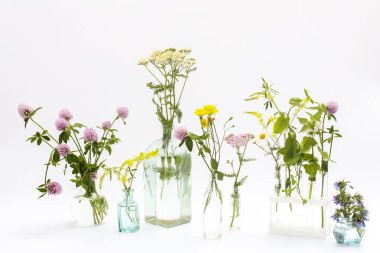 Dekorasyon olarak beyaz-gri arka planda farklı şekillerde yabani otlar. Kart, beyaz arka planda bitkilerle birlikte gerekli yağ şişesi