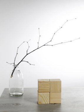 Cam vazoda patlamamış bir ıhlamur dalı ve yazı için yeri olan dört tahta küp. İskandinav tarzı. Uzayı kopyala Metin için yer