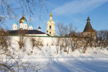 Moskova, Rusya - Ocak 2022 Novospassky Manastırı 'nın kubbeleri çiçek açan spiraea' ya karşı. Yeni Kurtarıcı Manastırı, güneydoğuyu çevreleyen güçlendirilmiş manastırlardan biridir..