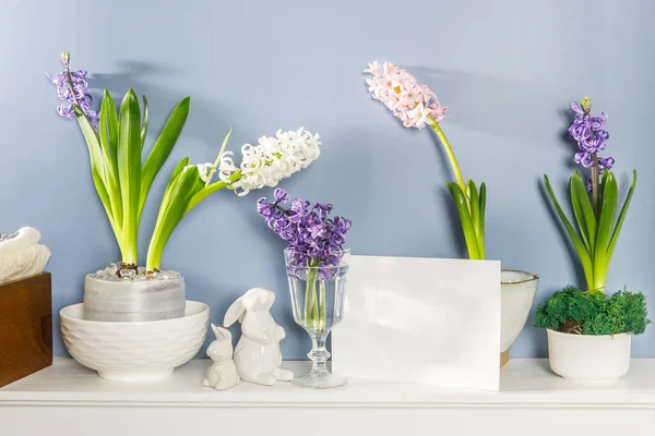 White Hyacinth Large Porcelain Bowl Figurines Hares Bird Fireplace Dark — Stock Photo, Image