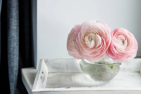 Drie Lichtroze Ranunculus Een Doorzichtige Ronde Vaas Witte Vensterbank Begrepen — Stockfoto