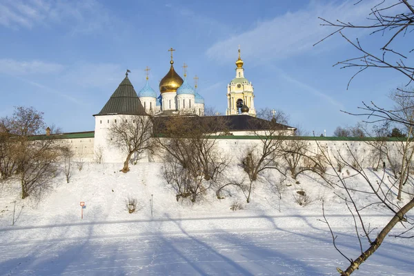 Moscow Russia January 2022 Domes Novospassky Monastery Blooming Spiraea New — Stock Photo, Image