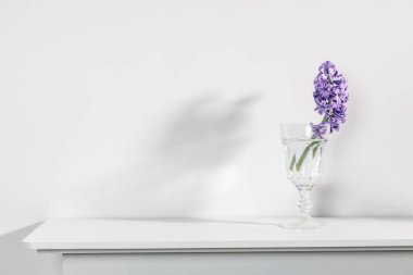 Beyaz arka planda sümbül çiçekli, kadınsı bloglu boş düğün davetiyesi kırtasiye kartı modeli. Sevgililer günü kartı, sevgililer günü geçmişi, anneler günü..