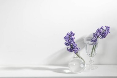 Beyaz arka planda sümbül çiçekli, kadınsı bloglu boş düğün davetiyesi kırtasiye kartı modeli. Sevgililer günü kartı, sevgililer günü geçmişi, anneler günü..