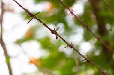 zemin üzerine dikenli tel