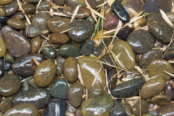 Wet river stones and bamboo leaves. — Stock Photo, Image