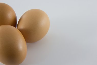 ayakta ve izole bir yumurta 