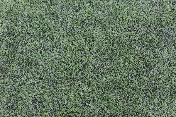 Green grass field background — Stock Photo, Image