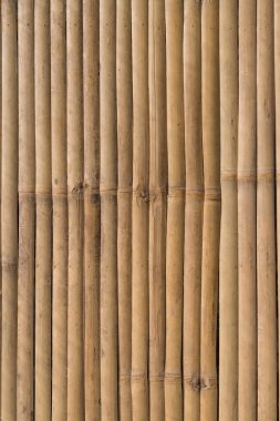 Bambu panel doku arka plan