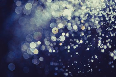 Su sineği bokeh ve arka plan ışık