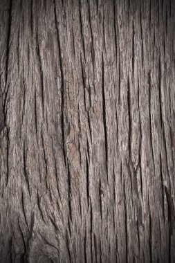 Doğal arkaplan için eski ağaç kabuğu dokusu