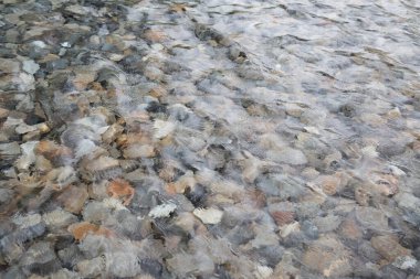 Su altında kayaları olan yüzey suyu görüntüsü