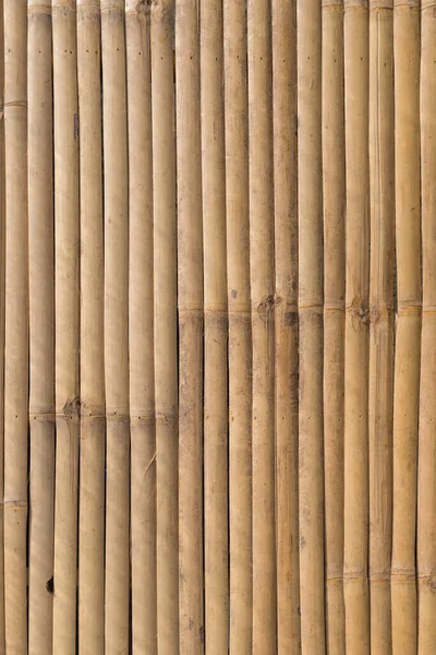 Текстура Бамбуковой Панели — стоковое фото