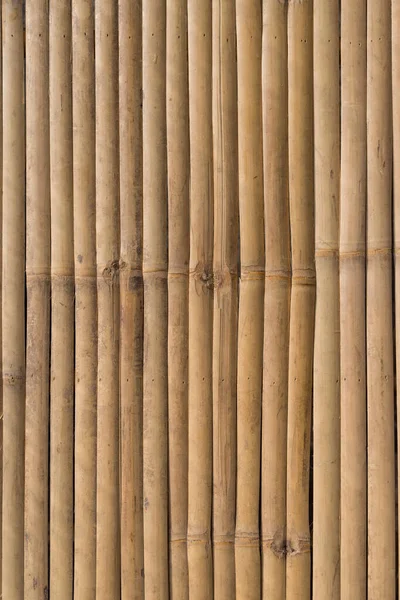 竹パネルテクスチャ背景 — ストック写真