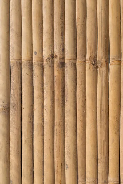 Bambus Panel Textur Hintergrund — Stockfoto