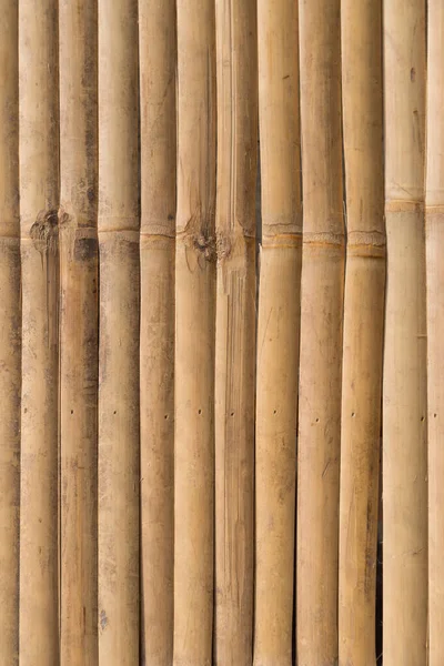 Текстура Бамбуковой Панели — стоковое фото