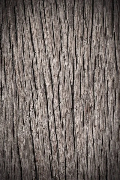 Textur Gammal Bark Trä Användning För Naturlig Bakgrund — Stockfoto