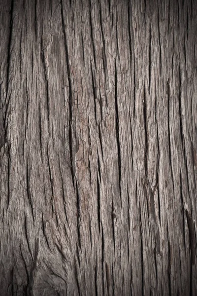 天然の背景に使用される古い樹皮の木の質感 — ストック写真