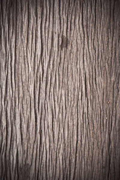 Régi Fakéregfa Textúrája Természetes Háttér Céljára — Stock Fotó