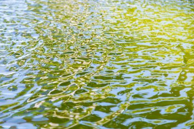 Arkaplan için su dalgası yansıtma kullanımı