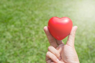 Yeşil arka planı olan kırmızı kalbi tut.