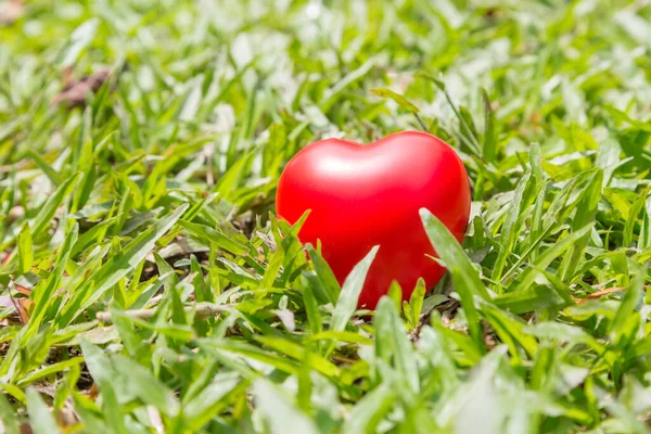 Rotes Herz Auf Grünem Rasen — Stockfoto