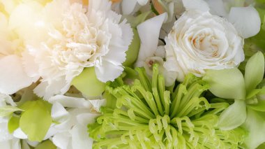 Beyaz doğa çiçekleri arka planı