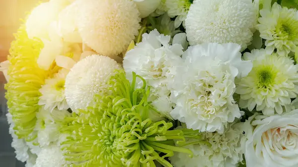 Weiße Natur Blumen Hintergrund — Stockfoto