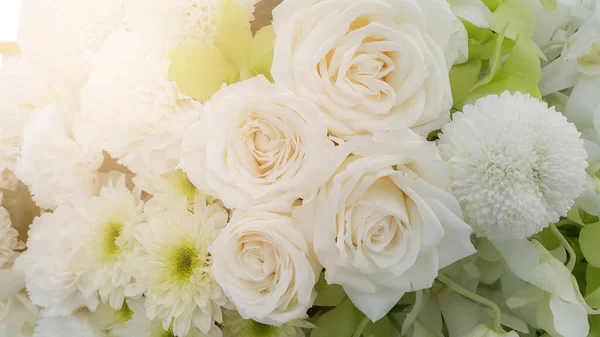 Branco Natureza Flores Fundo — Fotografia de Stock