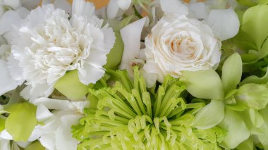 Beyaz doğa çiçekleri arka planı