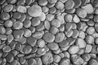 Islak kaya nehir dokusu arkaplanı