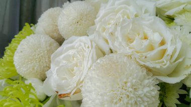 Beyaz doğa çiçekleri arka planı