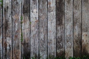 Eski vintage ahşap düz doku arka plan