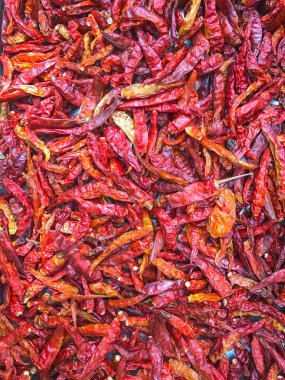 kuru kırmızı biber biber arka plan