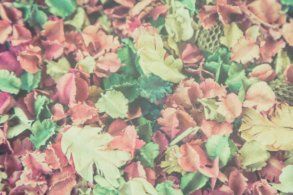 Bunte Trockene Blume Hintergrund — Stockfoto