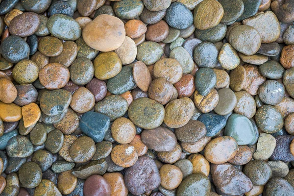 Wet Rock River Texture Background — Stock Photo, Image