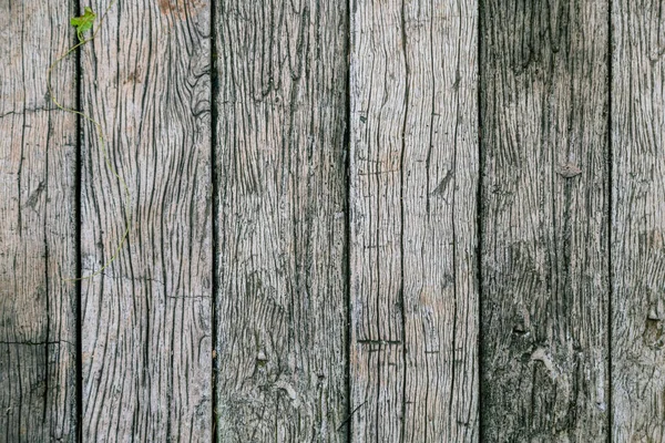 Старий Старовинний Дерев Яний Плоский Фон Текстури — стокове фото