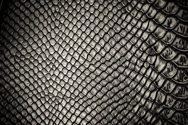 Peau Serpent Noir Motif Texture Fond — Photo