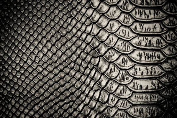 Текстура Кожи Черной Змеи — стоковое фото