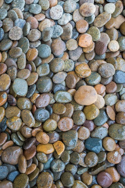 Nasse Felsen Fluss Textur Hintergrund — Stockfoto