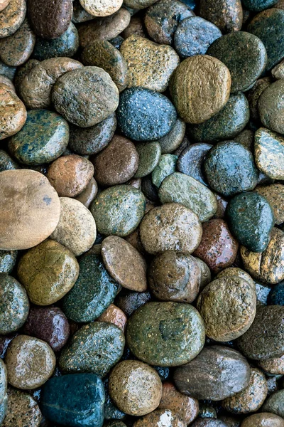 Fondo Textura Río Roca Mojada — Foto de Stock