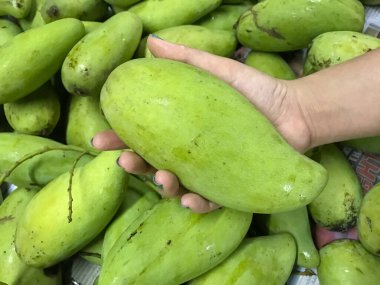 Yeşil mangolu kadın eli altyapısı