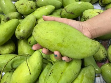 Yeşil mangolu kadın eli altyapısı