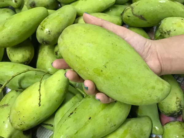Yeşil mangolu kadın eli altyapısı