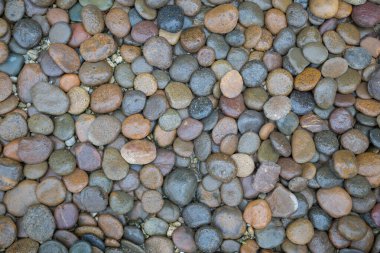 Islak kaya nehir dokusu arkaplanı