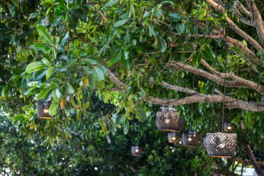 Ağaçtaki tahta lamba, arka planda bokeh.