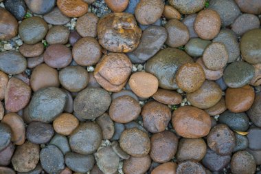 Islak kaya nehir dokusu arkaplanı