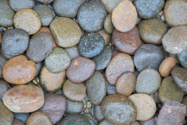 Islak kaya nehir dokusu arkaplanı